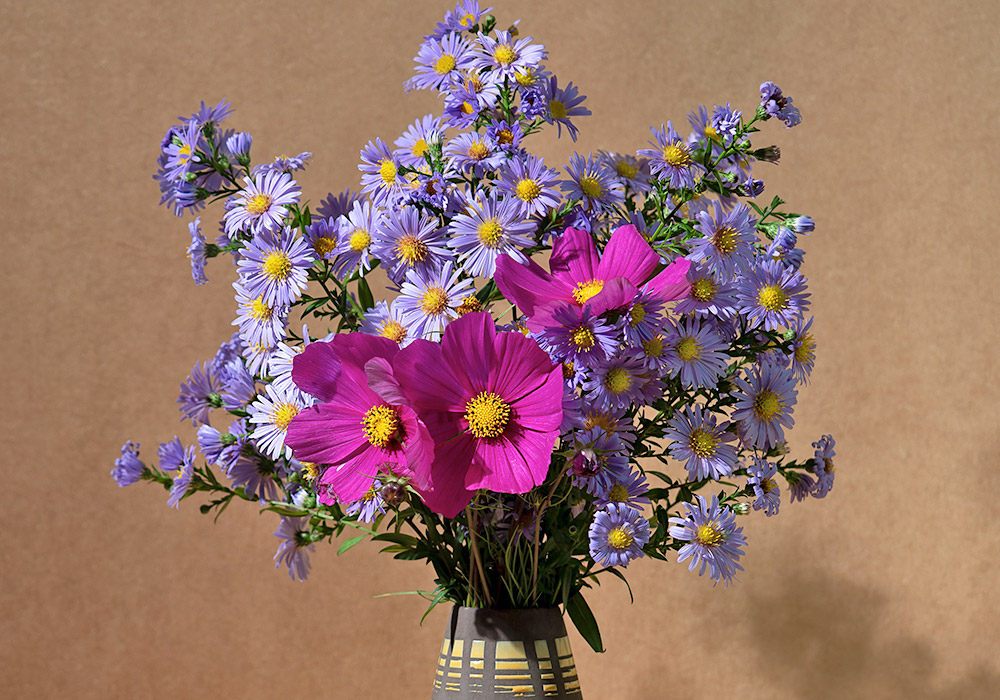 A lovely bouquet of vased purple asters, offset by a warm brown backdrop