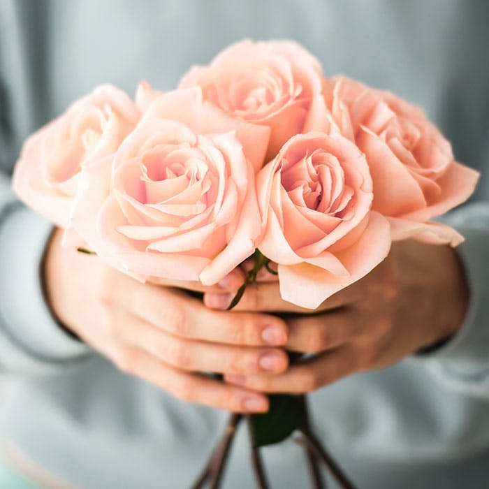 A person holds a bouquet of light pink roses with both hands, against a blurred background of a light blue shirt.