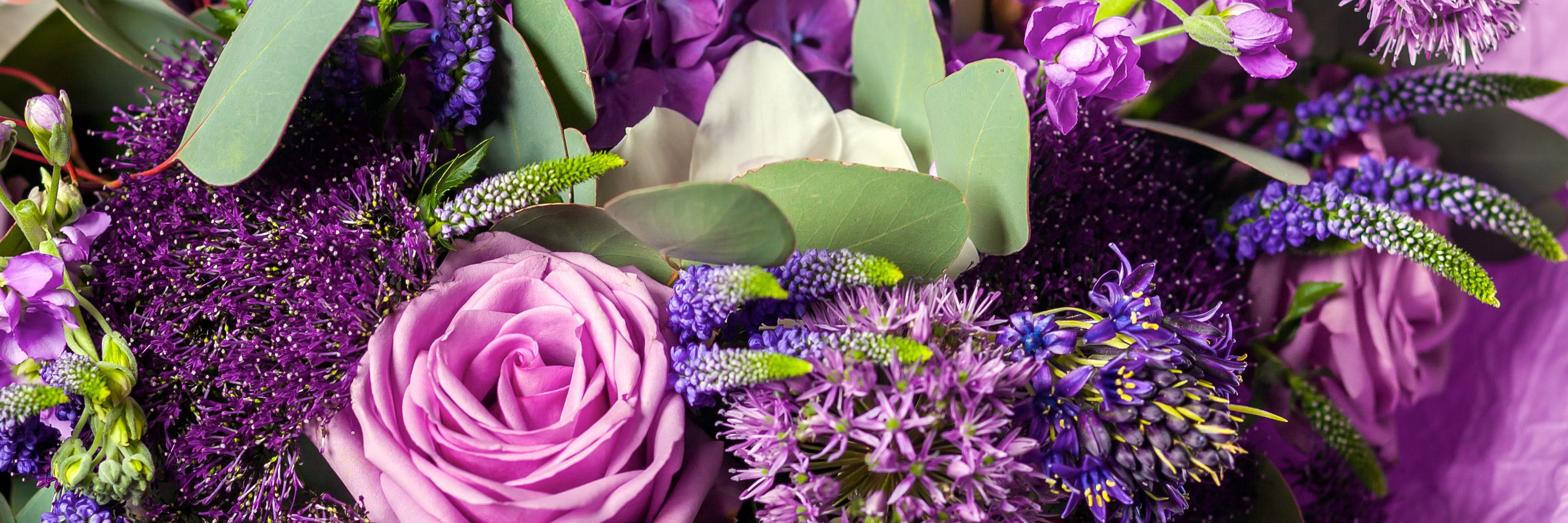 Albuquerque NM Florist & Flower Delivery