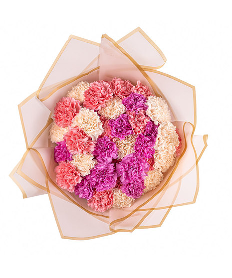 Ramo Buchón with pink and white carnations, hand-tied with tissue paper.