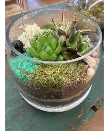 Terrarium Garden | Albuquerque (NM) Same-Day Plant Delivery | Peoples ...