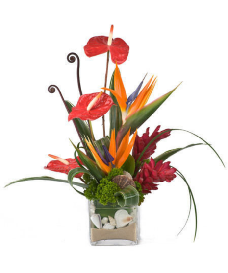 Tropical Flowers Albuquerque, Tropical Flower Arrangements Albuquerque ...