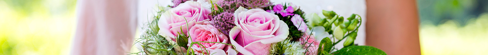 Albuquerque NM Florist & Flower Delivery